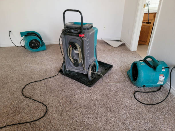 Best Sewage cleanup and water damage restoration  in East Providence, RI