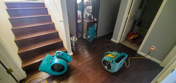 Best Commercial water damage restoration  in East Providence, RI