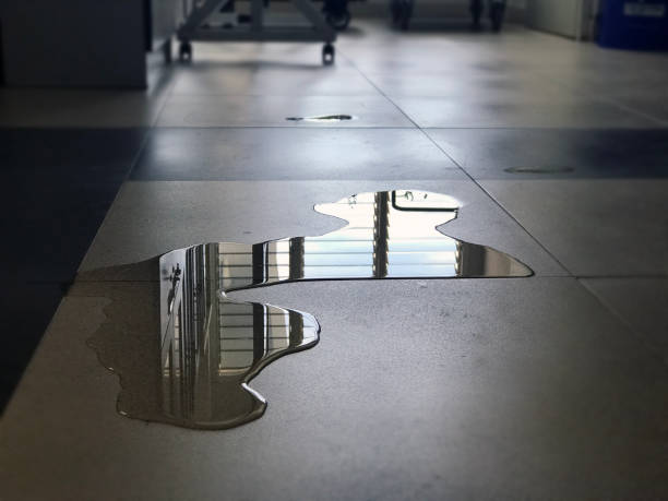 Best Professional water damage repair  in East Providence, RI