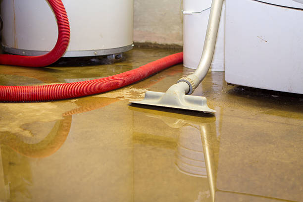 Best Basement water damage restoration  in East Providence, RI