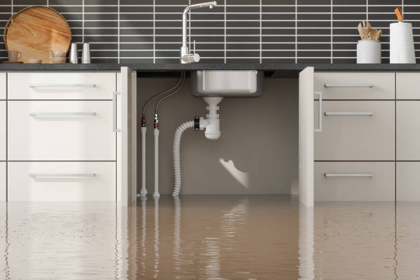 Best Water damage restoration company  in East Providence, RI