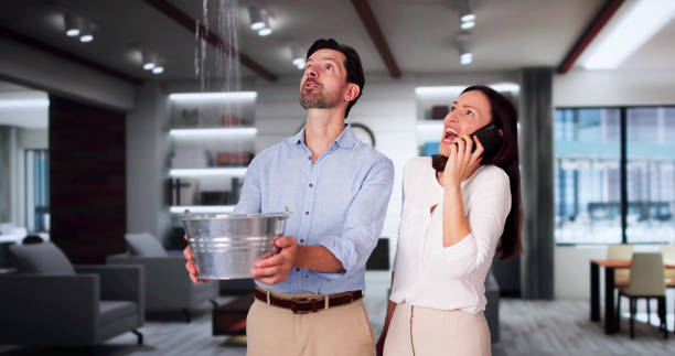 Best Flood damage cleanup  in East Providence, RI